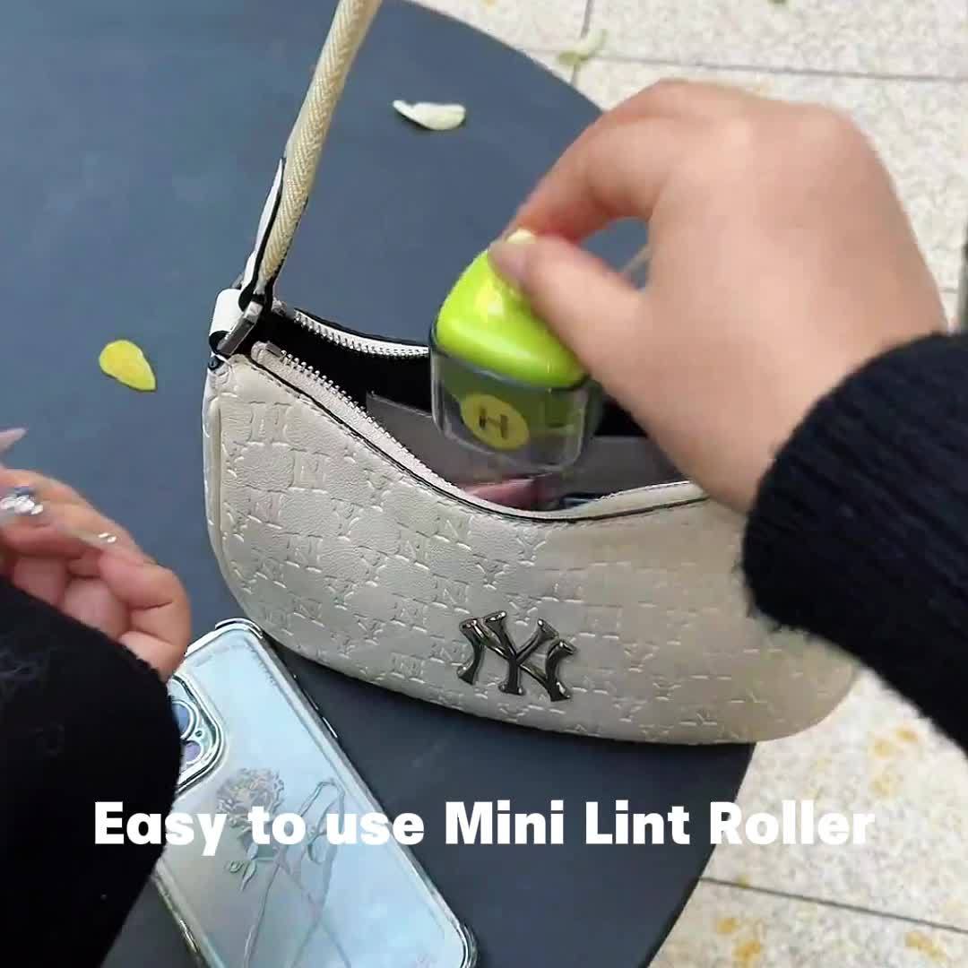 Buy 1 Get 1 Free, Mini Lint Roller, Reusable Lint Remover, Washable Lint Roller, Portable Pet Hair Remover For Clothes, Travel Home